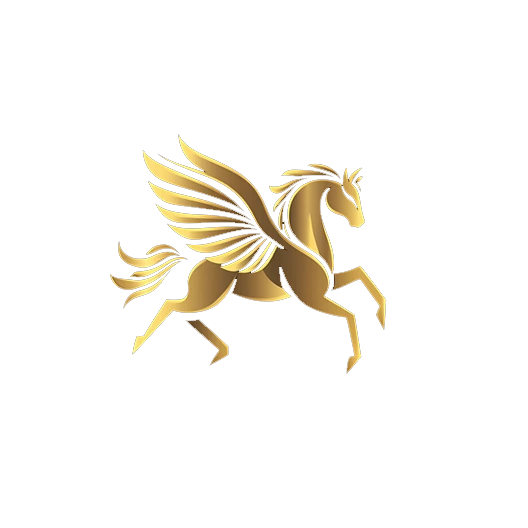 Logo OXYN Paris VTC de Luxe - Haut de gamme